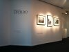 adriana-lestido-1